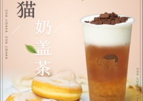 茶记大咖：熊猫奶盖茶
